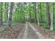 Gravel driveway lined with mature trees at 4490 Highway 138 Sw, Stockbridge, GA 30281