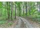 Gravel driveway with tall trees surrounding the home at 4490 Highway 138 Sw, Stockbridge, GA 30281