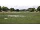 A scenic view of a well-maintained golf course on a sunny day at 601 Hexham Ct, Suwanee, GA 30024