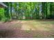 Expansive backyard surrounded by mature trees offers a private outdoor retreat at 5810 Tree Line Ter, Lithonia, GA 30058