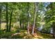 Secluded backyard with mature trees and a peek of the lake, perfect for relaxation and outdoor activities at 2912 Dunhill Trl, Woodstock, GA 30189
