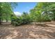 Lush trees surround the backyard offering lots of privacy and shade at 302 Cardinal Dr, Woodstock, GA 30188