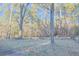 Large, wooded backyard with mature trees and ample space at 4011 Lake Carlton Rd, Loganville, GA 30052