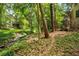 Tranquil backyard featuring a stream, blending the natural beauty with the home's exterior at 1176 Lullwater Ne Rd, Atlanta, GA 30307