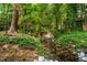 Secluded backyard showcasing a stream surrounded by lush greenery and an ivy-covered shed at 1176 Lullwater Ne Rd, Atlanta, GA 30307