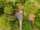 Aerial view of a home with a meticulously landscaped yard and trees, showcasing its serene setting at 287 West Wind Dr, Lilburn, GA 30047