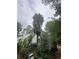 View of the backyard with a tall palm and surrounding trees by the rear elevation of this home at 3 Perthshire Dr, Peachtree City, GA 30269