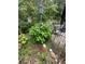The garden includes a decorative lightpost, flower bushes, plants, and flowers, which adds elegance to the property at 3 Perthshire Dr, Peachtree City, GA 30269