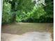 A large, lush backyard with mature trees creates a private oasis at 76 Burbank Dr, Atlanta, GA 30314