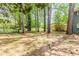 A lush backyard with mature trees, green space, and a chain-link fence at 2586 Williamsburg Dr, Decatur, GA 30034