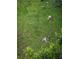 Aerial view of two deer laying in the grass in the backyard of this property at 448 Teal Ct, Roswell, GA 30076