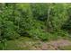 A lush backyard area, including a small stream running through the green space at 448 Teal Ct, Roswell, GA 30076