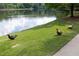 Lakeside view with waterfowl, set against a backdrop of a serene waterfront and green lawn at 448 Teal Ct, Roswell, GA 30076