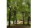 Walking path surrounded by mature trees, providing shade and beauty to the neighborhood at 448 Teal Ct, Roswell, GA 30076