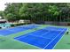 Community tennis courts offer a place to exercise and socialize amidst a beautiful, green setting at 5070 Riverlake Dr, Peachtree Corners, GA 30097