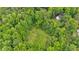 Aerial view showcases a property with a well-maintained garden surrounded by lush green trees, offering a serene setting at 144 Wiley Dr, Douglasville, GA 30134