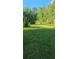 Expansive green backyard with mature trees, offering a private and tranquil outdoor space at 144 Wiley Dr, Douglasville, GA 30134