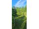 Picturesque backyard featuring lush greenery and a fenced area at 144 Wiley Dr, Douglasville, GA 30134