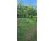 Expansive backyard with green grass and various plants at 144 Wiley Dr, Douglasville, GA 30134