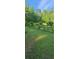Spacious backyard featuring lush greenery, plants, and distant treeline at 144 Wiley Dr, Douglasville, GA 30134