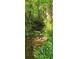 Lush creek amidst trees, providing a tranquil natural setting with plenty of green foliage at 144 Wiley Dr, Douglasville, GA 30134