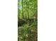 Wooded lot with trees surrounding a creek, a nice scenic feature of the landscape at 144 Wiley Dr, Douglasville, GA 30134