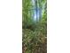 Serene creek amidst a forest, perfect for nature lovers who enjoy a wooded area at 144 Wiley Dr, Douglasville, GA 30134