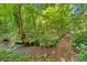 Picturesque creek running through a wooded area, creating a serene and natural landscape at 144 Wiley Dr, Douglasville, GA 30134