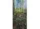 Picturesque creek flowing through lush woods, creating a tranquil and natural oasis at 144 Wiley Dr, Douglasville, GA 30134