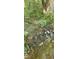 Clear creek bed with rocks and lush ferns, providing a natural and serene water feature at 144 Wiley Dr, Douglasville, GA 30134
