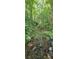 Scenic view of a winding creek surrounded by dense trees and various green plants at 144 Wiley Dr, Douglasville, GA 30134