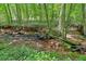 Scenic creek with lush foliage, providing a peaceful and natural water feature on the property at 144 Wiley Dr, Douglasville, GA 30134