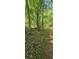 Beautiful wooded land featuring mature trees and natural growth, providing a tranquil and secluded setting at 144 Wiley Dr, Douglasville, GA 30134