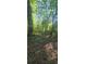 Lush wooded land offers a serene and private setting, perfect for nature lovers and outdoor enthusiasts at 144 Wiley Dr, Douglasville, GA 30134
