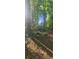 Sunlit wooded area with trees, undergrowth, and natural ground cover, offering privacy at 144 Wiley Dr, Douglasville, GA 30134