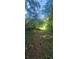 Picturesque path winding through a wooded area, perfect for nature walks and outdoor adventures at 144 Wiley Dr, Douglasville, GA 30134