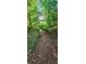 Natural footpath leading through lush greenery toward a house in a wooded area at 144 Wiley Dr, Douglasville, GA 30134