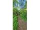 Scenic trail surrounded by trees and lush greenery at 144 Wiley Dr, Douglasville, GA 30134