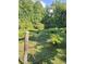 Picturesque vineyard with rows of grapevines under the sun, surrounded by lush green trees at 144 Wiley Dr, Douglasville, GA 30134