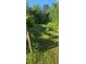 Picturesque vineyard featuring rows of healthy vines supported by wooden posts, perfect for a hobby farm at 144 Wiley Dr, Douglasville, GA 30134