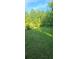 Expansive grassy yard surrounded by lush trees, offering ample space for outdoor activities at 144 Wiley Dr, Douglasville, GA 30134
