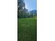 Large grassy yard surrounded by trees, perfect for outdoor activities and relaxation at 144 Wiley Dr, Douglasville, GA 30134