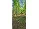 Tranquil yard with green landscaping at 144 Wiley Dr, Douglasville, GA 30134