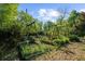 Rustic garden features wooden frames, garden beds, and natural mulch at 45 Michelle Ne Cir, Atlanta, GA 30342