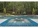 Luxurious in-ground pool and spa with beautifully tiled accents surrounded by lush landscaping at 1084 Wrights Mill Rd, Canton, GA 30115