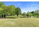A vast, grassy backyard, enclosed by a secure fence, provides a safe and spacious play area at 5360 Franklin Goldmine Rd, Cumming, GA 30028