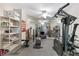 Basement home gym features wall-mounted mirrors and a variety of exercise equipment at 5360 Franklin Goldmine Rd, Cumming, GA 30028