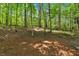 Wooded backyard showcasing mature trees and natural landscaping, creating a private and serene setting at 6034 Addington Nw Dr, Acworth, GA 30101