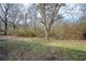 A view of the property's back yard, showing the brush at 65 Sage St, Temple, GA 30179