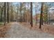 Discover the serene backyard, leading to the private lake surrounded by trees, offering a tranquil escape at 4211 Burnt Hickory Nw Rd, Marietta, GA 30064